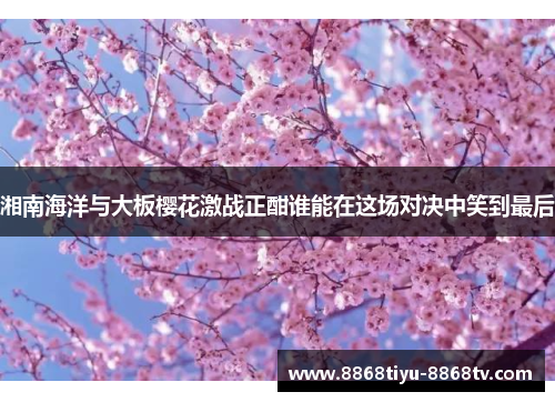 湘南海洋与大板樱花激战正酣谁能在这场对决中笑到最后